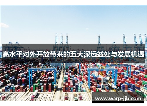 高水平对外开放带来的五大深远益处与发展机遇